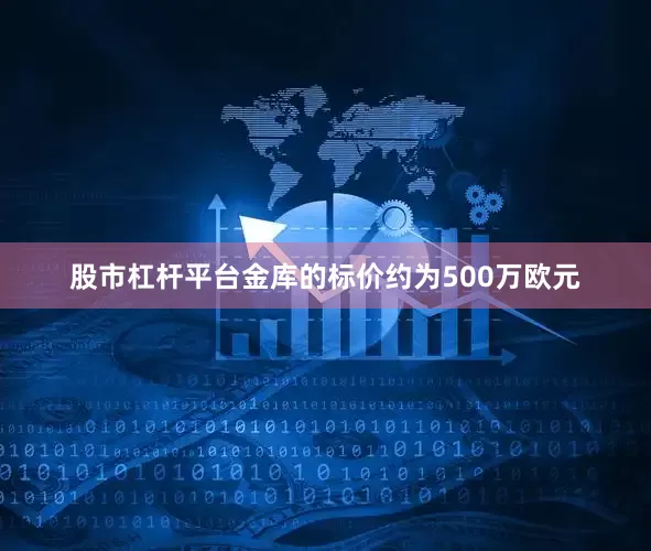 股市杠杆平台金库的标价约为500万欧元
