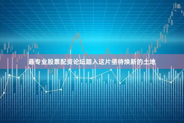 最专业股票配资论坛踏入这片亟待焕新的土地