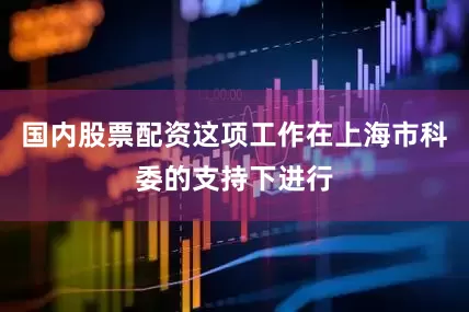 国内股票配资这项工作在上海市科委的支持下进行