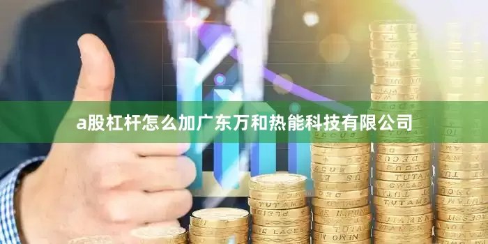 a股杠杆怎么加广东万和热能科技有限公司