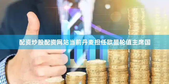 配资炒股配资网站当前丹麦担任欧盟轮值主席国