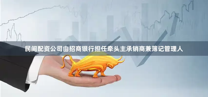 民间配资公司由招商银行担任牵头主承销商兼簿记管理人