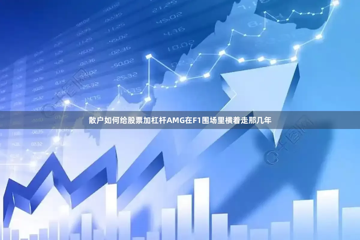 散户如何给股票加杠杆AMG在F1围场里横着走那几年