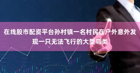 在线股市配资平台孙村镇一名村民在户外意外发现一只无法飞行的大型鸟类